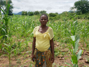 Tens of Thousands in Zimbabwe Go Hungry as the Rains — and US Aid — Hold Back